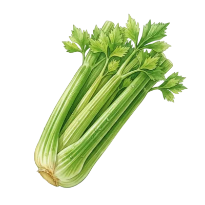 Image for choice number 6