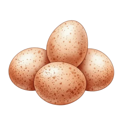 Image for choice number 5