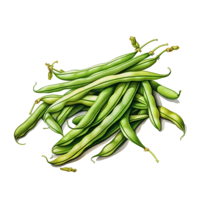 Image for choice number 9