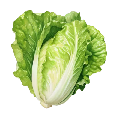 Image for choice number 11