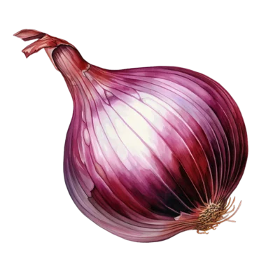 Image for choice number 12