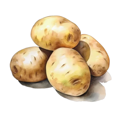 Image for choice number 13