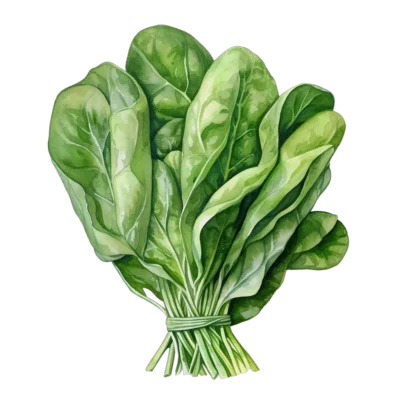 Image for choice number 14